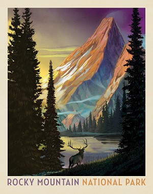National Parks PD16134 36 Inch Digital Panel Rocky Mountain Riley Blake 