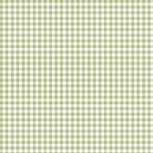 Gnome Grown CD5576 Green Check Plaid Timeless Treasures 