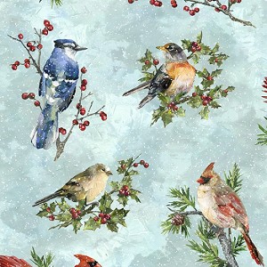 Winter Wonder S4707 41 Aqua Songbirds, Hoffman 