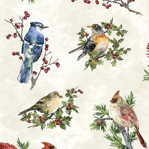 Winter Wonder S4707 531 Papyrus Songbirds, Hoffman 
