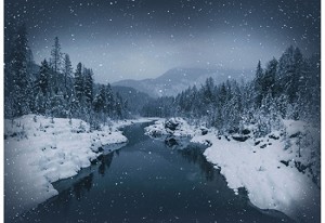 Call of the Wild S4721 611 River Rock Winter Stream Digital Panel, Hoffman 
