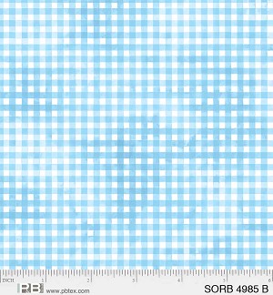 Sorbet Gingham 4985 B Blue P and B Textiles 
