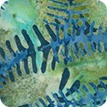 Sunrise Vista 19661 270 Meadow Artisan Batiks Robert Kaufman 