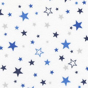 Cozy Cotton Flannel 15593 11 Royal Robert Kaufman 