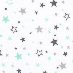 Cozy Cotton Flannel 15593 32 Mint Robert Kaufman 