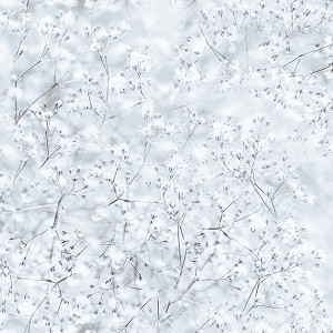Winters Wings T4868 113 Spectrum Digital Print Frost  Hoffman 