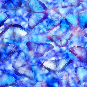 Garden Bliss T4900 656 Mariposa Butterfly Digital Print Hoffman 
