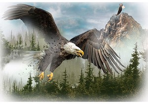 Call of the  Wild T4959 16 Eagle Digital Panel 