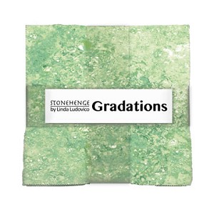 New Stonehenge Gradations 10 Inch Layer Cake Tile Pine Ridge 78 Northcott 