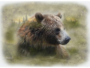 Call of the Wild U5063 260 Grizzly Digital Panel Hoffman 