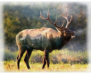Call of the Wild U5068 151 Elk Digital Panel Hoffman 