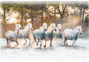 Call of the Wild U5069 700 Running Herd Digital Panel Hoffman 
