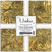 Umber Artisan Batik 10 Inch Layer Cake Squares Robert Kaufman 