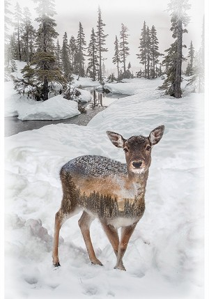 American Wild V5211 345 Deer Digital Panel Hoffman 
