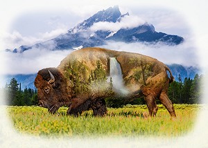 Call of the Wild V5271 449 Waterfall Buffalo Digital Panel Hoffman 
