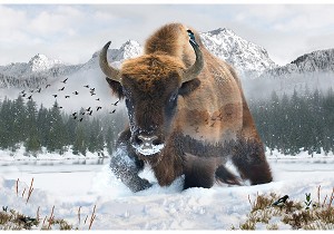 Call of the Wild Bison W5376 556 Digital Panel Hoffman 