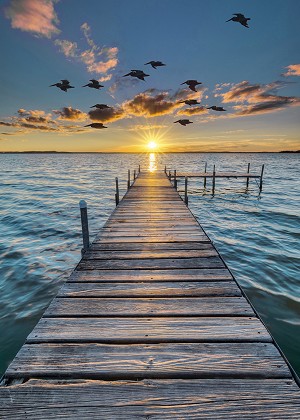 Call of the Wild W5421 151 Sunset Dock Digital Panel Hoffman 