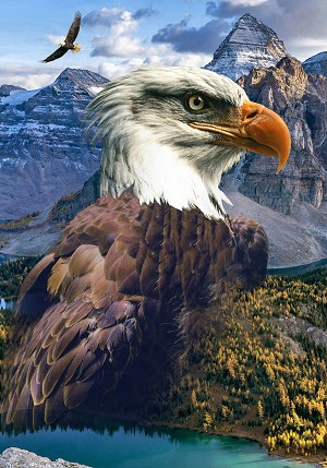 Call of the Wild W5509 159 Eagle Digital Panel Hoffman 