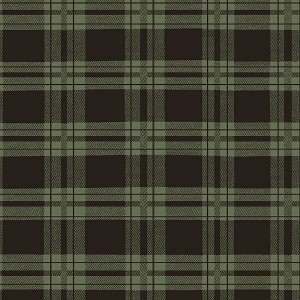 Living the Dream Y3442 112 Light Forest Plaid Blanket Clothworks 