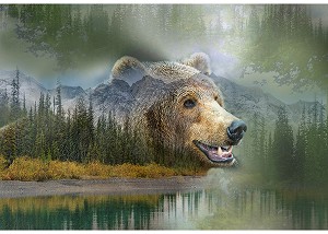 Call of the Wild Y5776 611 River Rock Brown Bear  PanelHoffman 